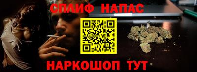 СК Ставрополь